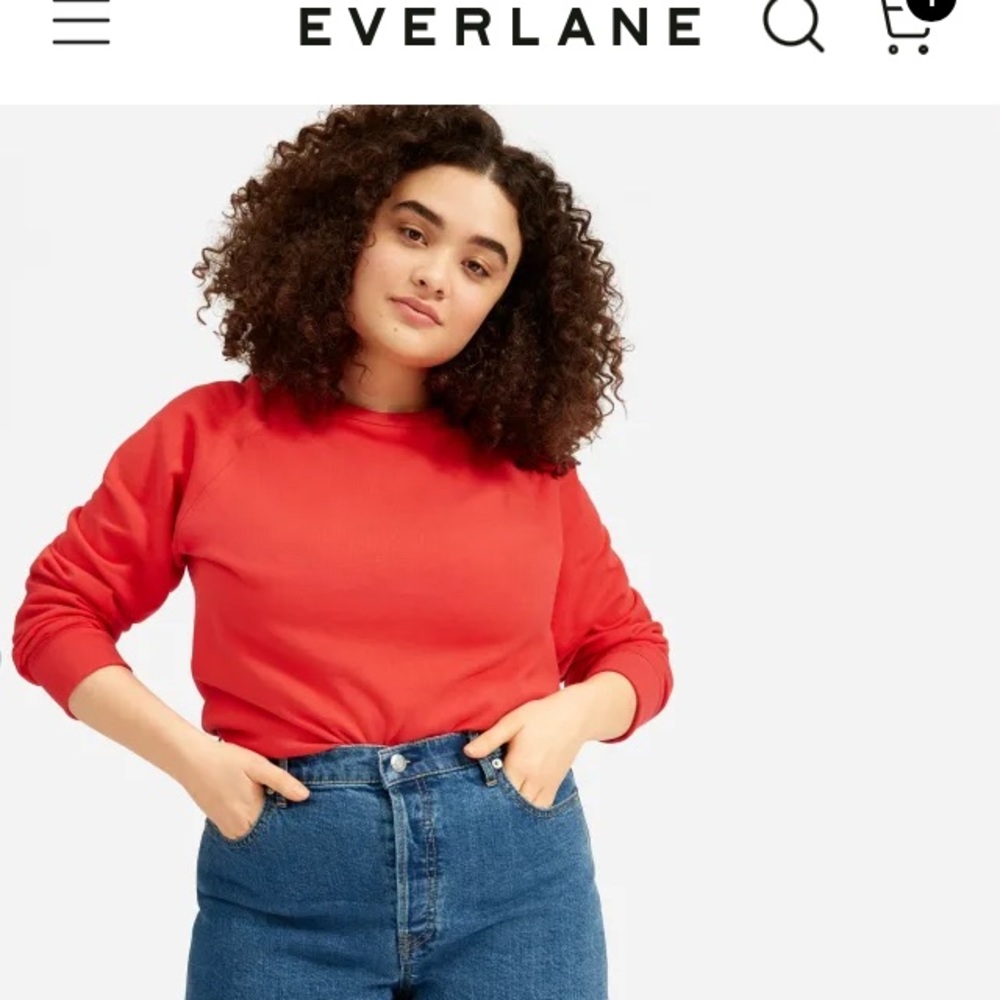 ❌SOLD❌Everlane The Cheeky Denim Short
